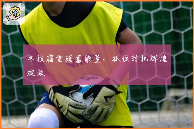 冬枝霜雪蕴蓄能量，抓住时机辉煌绽放