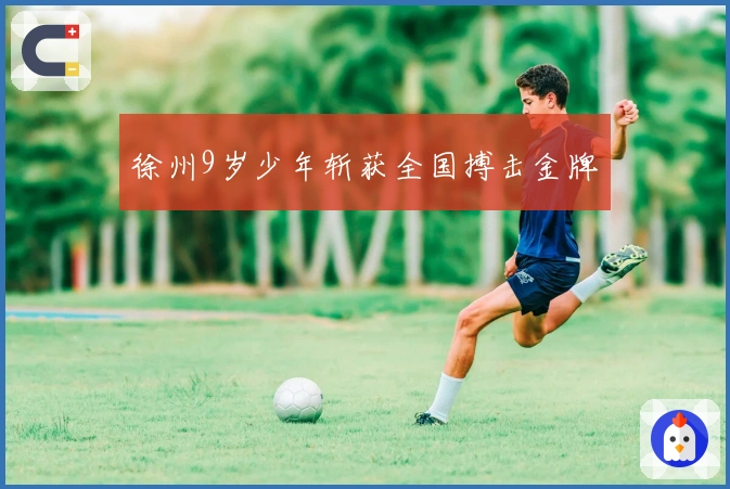 徐州9岁少年斩获全国搏击金牌