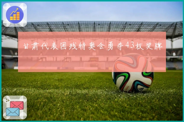 甘肃代表团残特奥会勇夺43枚奖牌
