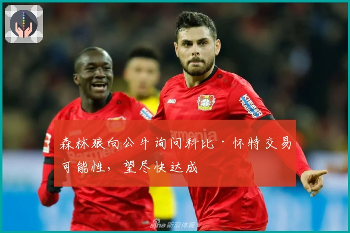 森林狼向公牛询问科比·怀特交易可能性，望尽快达成